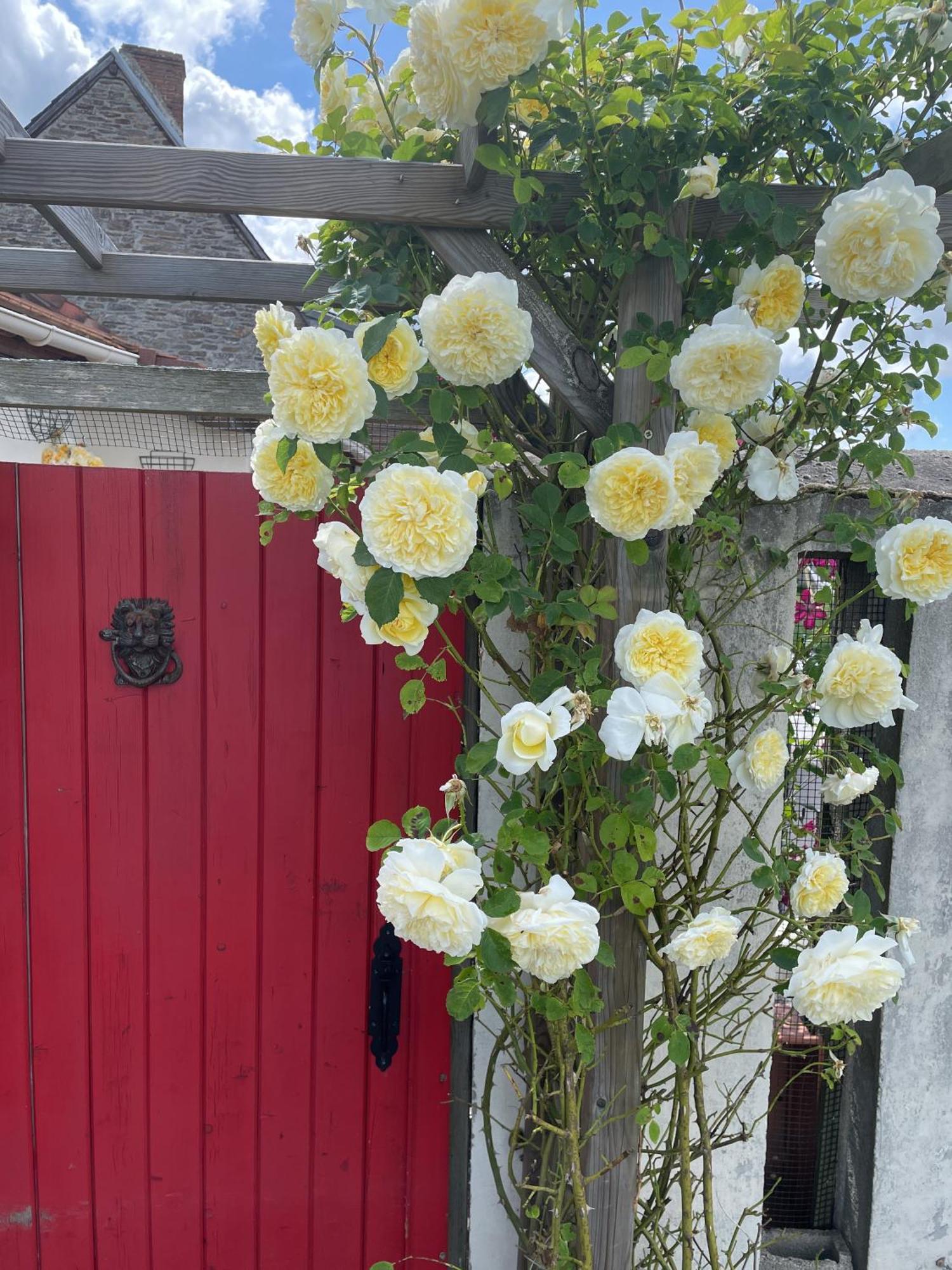 Delightful French Rustic Studio Jumilhac-le-Grand المظهر الخارجي الصورة